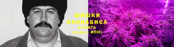 прущие грибы Арсеньев