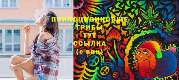прущие грибы Арсеньев