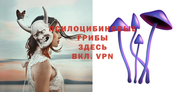 прущие грибы Арсеньев