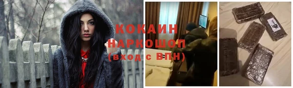 прущие грибы Арсеньев