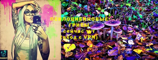 бошки Армянск