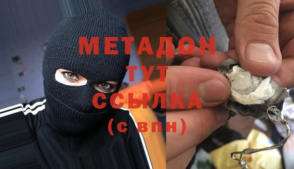 прущие грибы Арсеньев