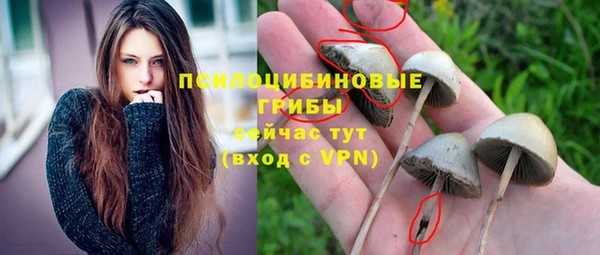 кокс Аркадак