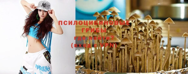 кокс Аркадак