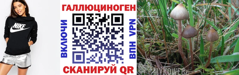 Псилоцибиновые грибы мицелий  Бирюч 